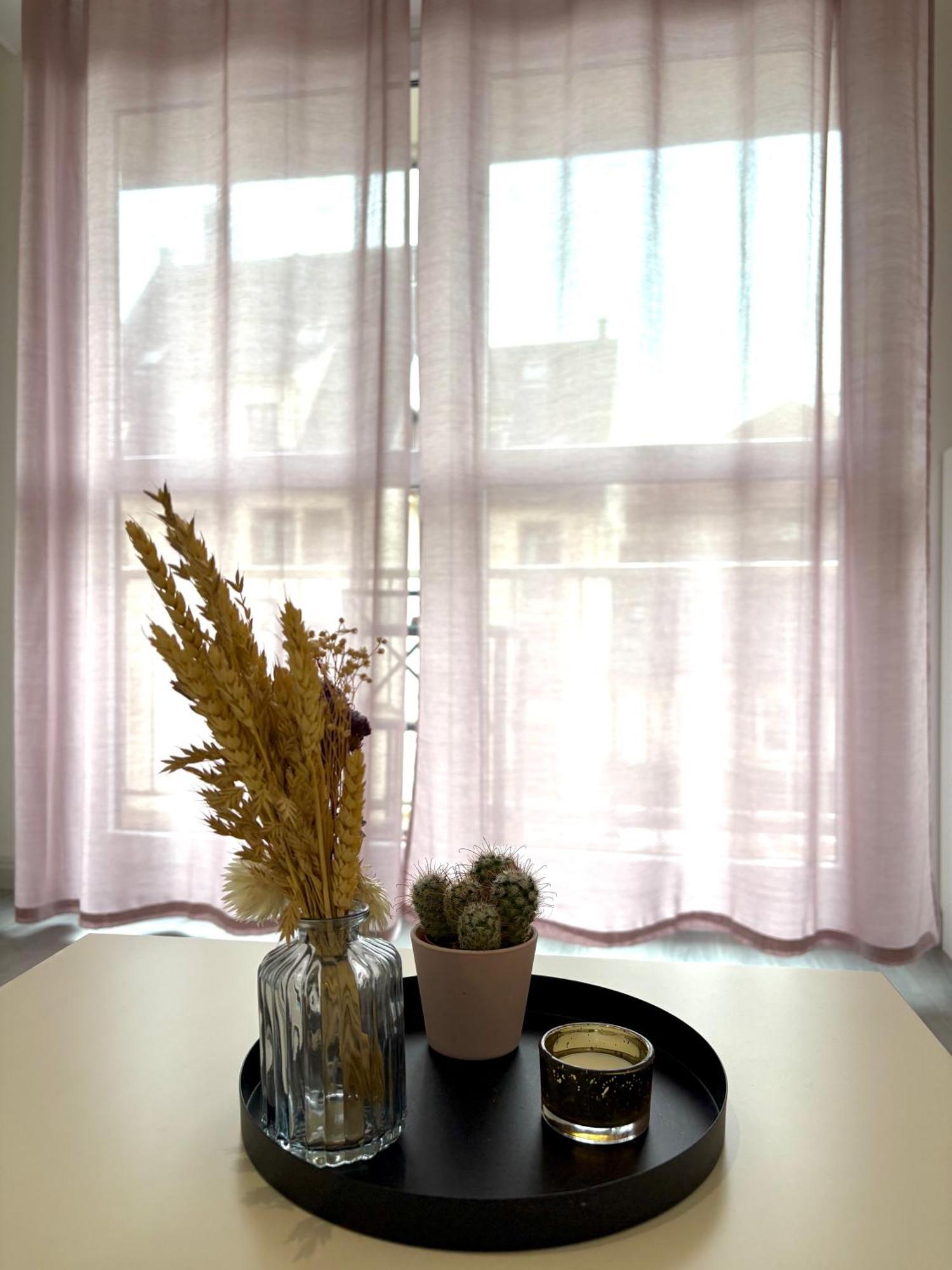 Joli Studio Dans L'Ancien Quartier De Cronenbourg 斯特拉斯堡 外观 照片